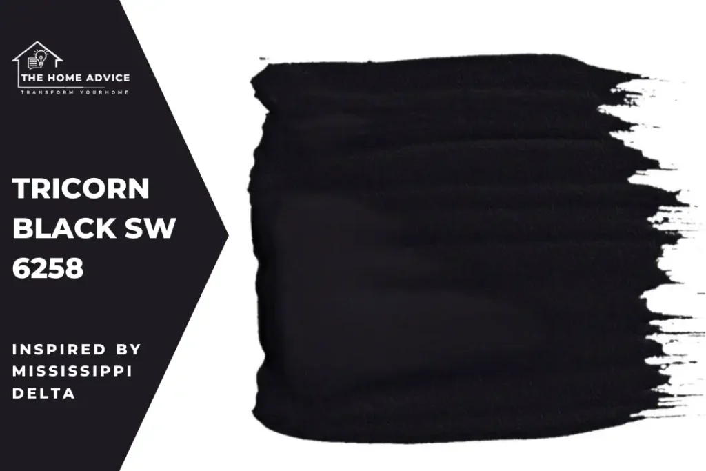 Sherwin-Williams Tricorn Black SW 6258: bold Mississippi  Delta-Inspired Paint Color